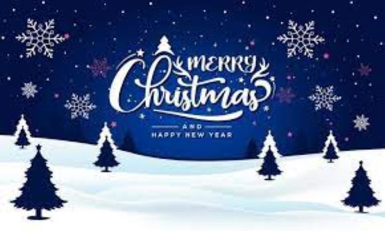 Merry Christmas and Happy New Year from Digicare